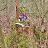 04 Aktion April 25 Feen und Wichtelwald